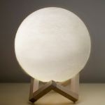 Picture of Seattle Temple Globe